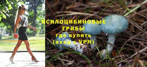 ПСИЛОЦИБИНОВЫЕ ГРИБЫ Володарск