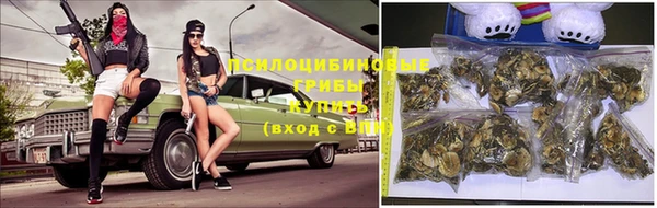 ПСИЛОЦИБИНОВЫЕ ГРИБЫ Володарск